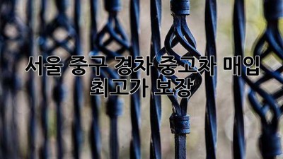 서울 중구 경차 중고차 매입, 최고가 보장!