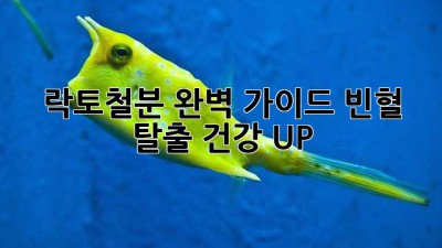 락토철분 완벽 가이드! 빈혈 탈출 건강 UP! 💪